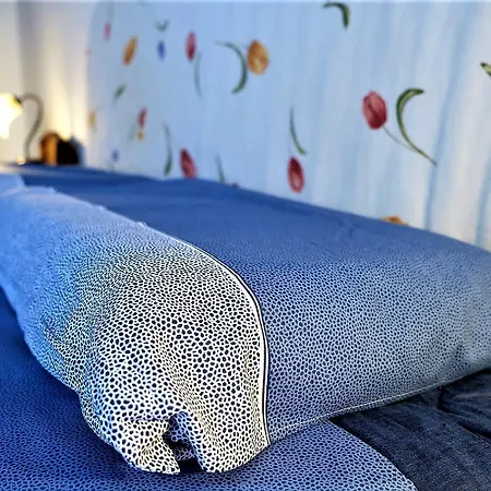 La Mia Oasi * 科马基奥