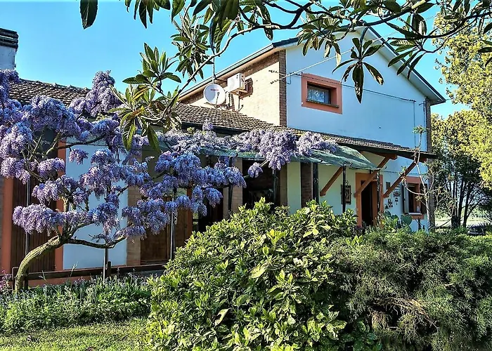 住宿加早餐酒店 La Mia Oasi *