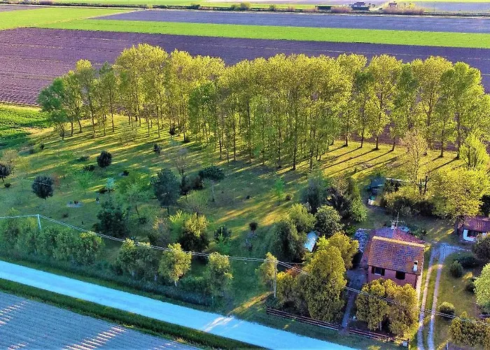 La Mia Oasi 住宿加早餐酒店 *