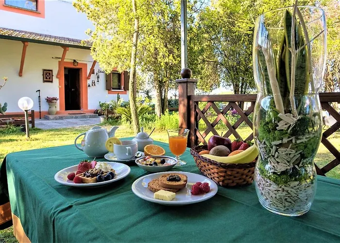 住宿加早餐酒店 La Mia Oasi