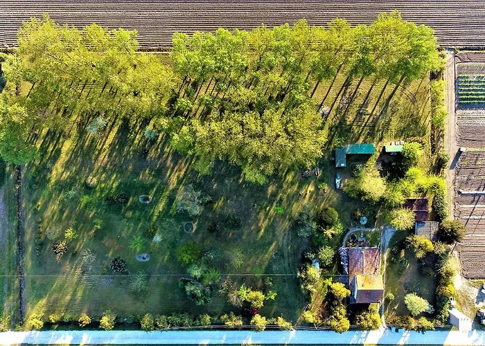 La Mia Oasi 科马基奥