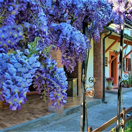 Panzió La Mia Oasi Comacchio