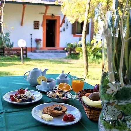 La Mia Oasi Bed & Breakfast