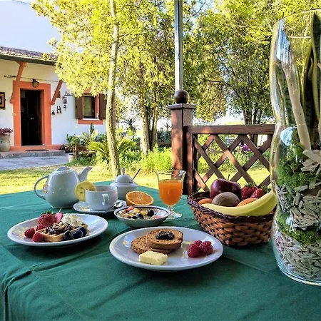 Bed & Breakfast La Mia Oasi