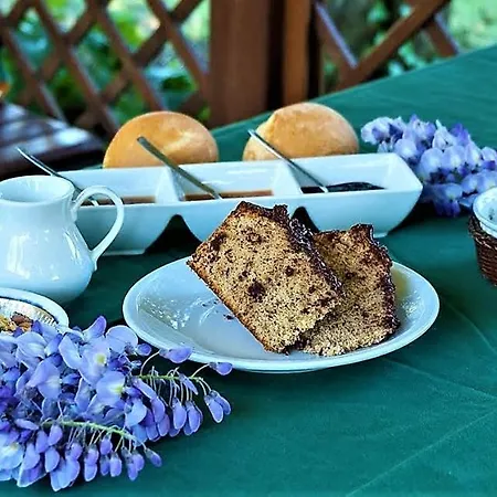 Couette-café La Mia Oasi