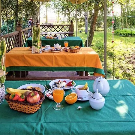 Bed & Breakfast La Mia Oasi