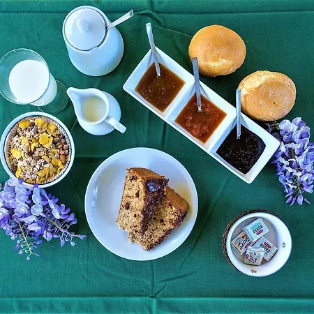 La Mia Oasi Bed & Breakfast