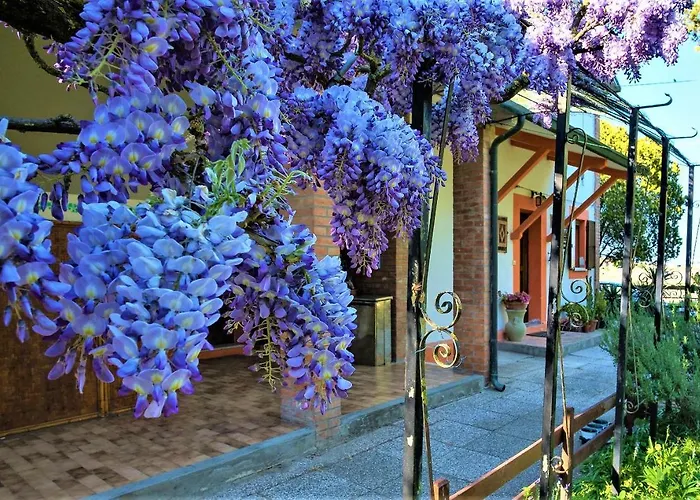 Alojamento de Acomodação e Pequeno-almoço La Mia Oasi Comacchio