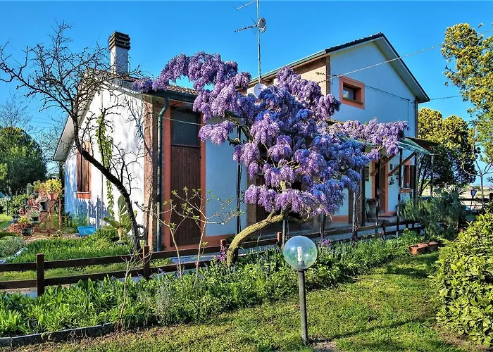 La Mia Oasi ベッド・アンド・ブレックファスト *