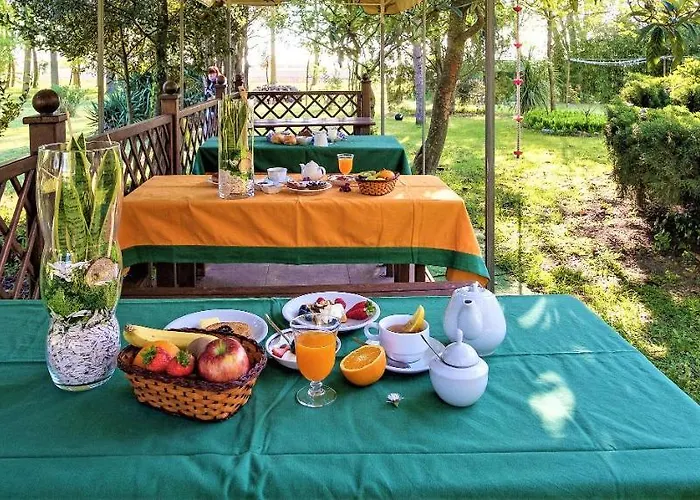 Alojamento de Acomodação e Pequeno-almoço La Mia Oasi